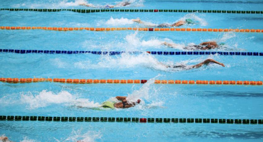 Sportschwimmen